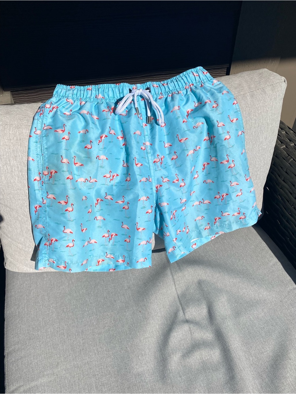 Frank’s Men's Light Blue Flamingo Print Hybrid Swim Shorts